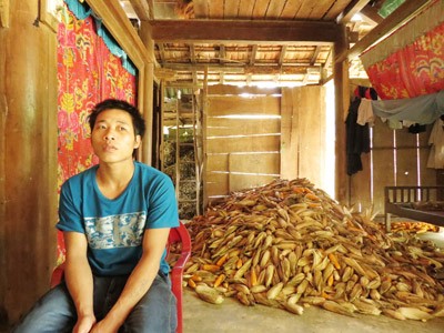 One of the 12 people accused of logging Sua trees in Quang Binh Province (Photo: SGGP)